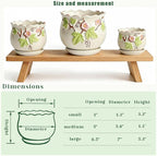 Vintage Flower Pots for Indoor Plant, Round Ceramic Plant Pots with Drainage Holes and Saucers, 6.7/5.2/3.9 Inches Retro Flower Planters Set of 3 (Morning Glory)