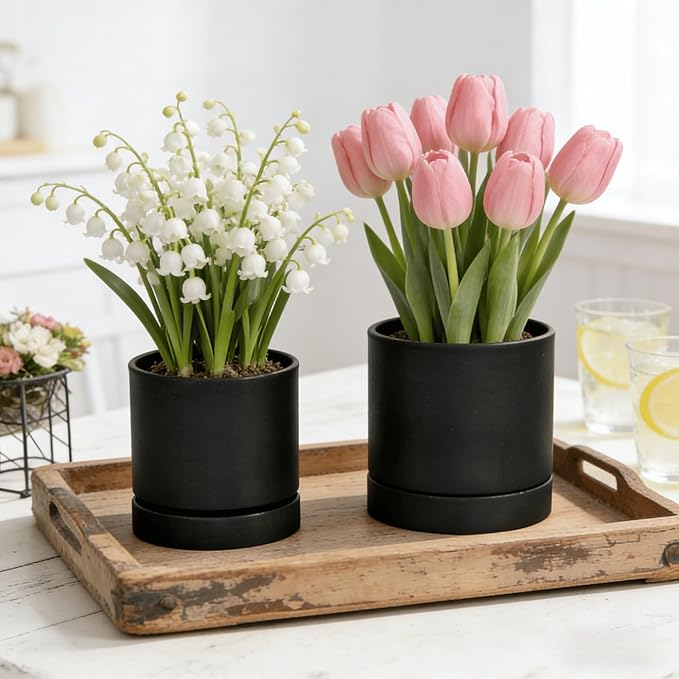 GreenShip 2pcs Plant pots, self Watering pots for Indoor Plants (Black, 4.7in+6in)