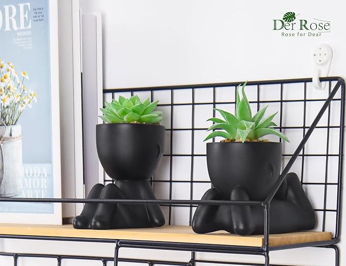 Der Rose 2 Pack Fake Plants Succulent Plants Artificial for Home Bathroom Living Room Office Decor