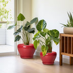 Ceramic Plant Pots, 10+8+6 Inch Ceramic Planters with Drainage Holes and Saucers, Round Decorative Pots for Plants Indoor Outdoor, House Decor, Gifts for Plant Lovers, Set of 3, Bright Red
