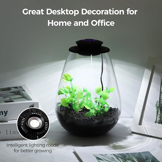 Mini Desktop Glass Plant Terrarium with Grow Light - Planter for Succulent Moss Miniature Gardening Landscape, Small Fish Tank, Indoor Plant Growth, Office Home Decoration, Plant Lovers Gifts