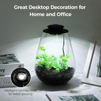 Mini Desktop Glass Plant Terrarium with Grow Light - Planter for Succulent Moss Miniature Gardening Landscape, Small Fish Tank, Indoor Plant Growth, Office Home Decoration, Plant Lovers Gifts