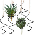 6 Pcs Hanging Air Plant Holder Air Plant Hanger Set Adjustable Rust-Resistant Iron Rings with Jute Ropes, Soilless Plants Stand Tillandsia Succulent Display Container for Home Office Decor
