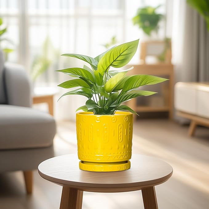 6 Inch Pots for Plants, Ceramic Pots for Plants with Drainage Holes and Tray, Round Planter for Indoor Outdoor, Modern Plant Pot, Decorative Flower Pot, Table Decor, Teacher Gift, Yellow