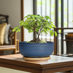 Bonsai Pots - 8 Inch Ceramic Pots for Succulent Plants & Bonsai Tree, Planter with Drainage Hole and Saucer, Modern Round Decorative Flower Planters, House Decor, Gifts for Women Man, Blue