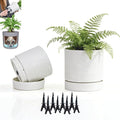 GreenShip Planter Set of 2 (9.8" & 7.8") – Cylinder Planters with Drainage Hole and Planter Saucer, Jun Porcelain Clay & Recycled Resin, Decorate Home,Office & Outdoor,White pots