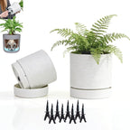 GreenShip Planter Set of 2 (9.8" & 7.8") – Cylinder Planters with Drainage Hole and Planter Saucer, Jun Porcelain Clay & Recycled Resin, Decorate Home,Office & Outdoor,White pots