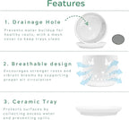 2 Pack, 5 + 6 Inch White Orchid Pots with Butterflies and Tulips Holes and Saucer, Ceramic Orchid Planters for Repotting with Drainage Holes and Tray Indoor Outdoor, Butterfly Gift