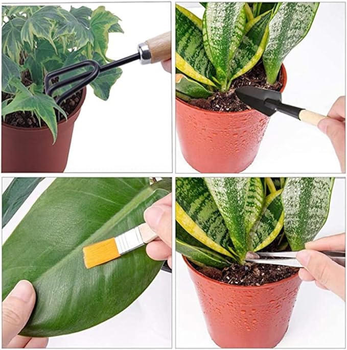 Ciieeo 10pcs Mini Gardening Tool Set for Succulent and Potted Planting with Wooden Handles, Soil Detecting Device, and Bonsai Accessories for Indoor and Outdoor Plant Care