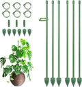 RIFNY Plant Stakes for Indoor Plants, 12 Inch Plant Support Stakes with Clips, Tall Adjustable Plant Sticks for Indoor Monstera Tomato Orchid Potted Plants Flower (6 PCS, Green)