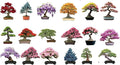 6 Types of Bonsai Tree Seeds for Planting - Pick from 3 Kits or Get Them All (Kit 4 - All 18 Types)