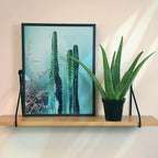 PFPX 9CM Aloe Vera (Solo) V2