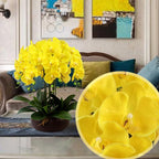 FagusHome 32 Inch Artificial Phalaenopsis Flowers 6 Pcs Artificial Orchid Flowers Stem Plants for Home Décor (Yellow)