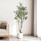 Faux Olive Tree 5.5ft(66in) Tall Artificial Plant Indoor Decor Realistic Potted Fake Modern Greenery with Natural Wood Branches and Green Leaves for Living Room,Bedroom,Christmas Holiday Decor