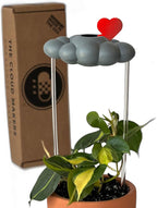 Stormy Dripping Rain Cloud with Heart Charm, Valentine Gift for Plant Lovers