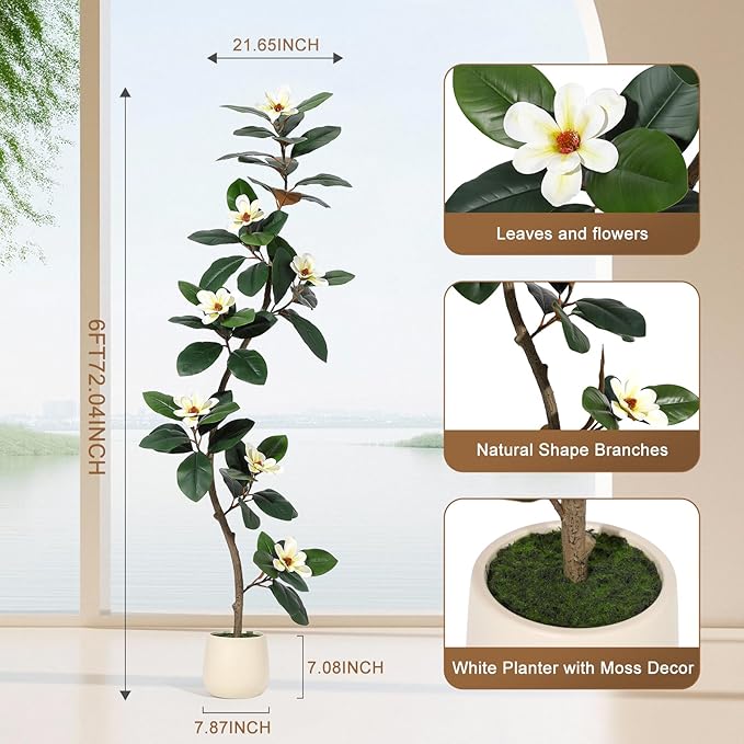6ft Artificial Rubber Tree with 7 Pcs Magnolia Flowers,Tall Fake Tree with White Planter and Moss Decor,Faux Plants Indoor for Home Living Room Porch Decor