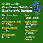 HOME GROWN Bachelor Button Seeds Tall Blue - 6000 Cornflower, Stunning Blue Blooms for Wildflower Gardens, Non-GMO Flowers & Pollinator-Friendly Spaces, Low Maintenance Flower Seeds (Centaurea cyanus)