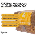 Mycelium All-in-One Mushroom Grow Bag – 6lb Sterilized Substrate with Oak, Soy Hull & Whole Oats Grain | Ready-to-Inoculate Grow Kit with Injection Port | Grow Lion’s Mane, Shiitake & Oyster Mushrooms