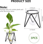 Jspupifip 3 Pcs Glass Plant Terrarium with Metal Stand, Air Plants Holders Hydroponic Plant Vases Desktop Bulb Glass Vase for Indoor Plants Home Garden Office Decoration, Black