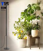 Barrina T1S Standing Grow Light for Indoor Plants with Timer, 65W 660nm High PPFD Full Spectrum, Tera Series Vertical Grow Lights Adjustable Height 5FT-5.6FT, Foot Switch, Non-Glare Design, Black