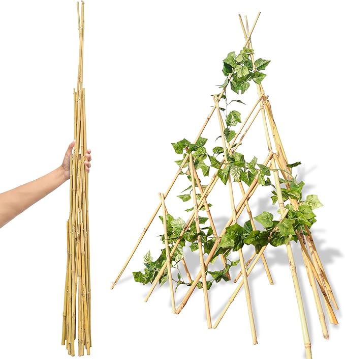 6ft Expandable Bamboo Teepee Trellis for Climbing Plants, Self-Standing Natural Bamboo Trellis for Plant Support, Folding Garden Trellis for Vines Flowers Vegetable Indoor Outdoor