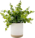 Coferset Small Fake Plants Eucalyptus Potted Artificial Plants Faux Plant Greenery in Ceramic Pot for Bedroom Kitchen House Living Room Shelves Farmhouse Table Office Desk Bathroom Home Indoor Decor