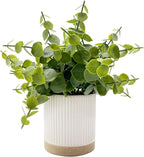 Coferset Small Fake Plants Eucalyptus Potted Artificial Plants Faux Plant Greenery in Ceramic Pot for Bedroom Kitchen House Living Room Shelves Farmhouse Table Office Desk Bathroom Home Indoor Decor