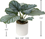 Briful Small Fake Plant 13" Faux Calathea Plants Indoor Artificial Potted Plant in White Ceramic Greenery House Plant for Home Table Office Bathroom Shelf Living Room Desk Decoration