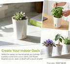 8 Pack 4" Mini Self Watering Pots for Indoor Plants, Small Clear Plastic Planters, Plant Watering Cups with Level Indicator Vents & Drainage Holes, Wick, for Seedlings, Cuttings, Herbs (8, 3 Inch)