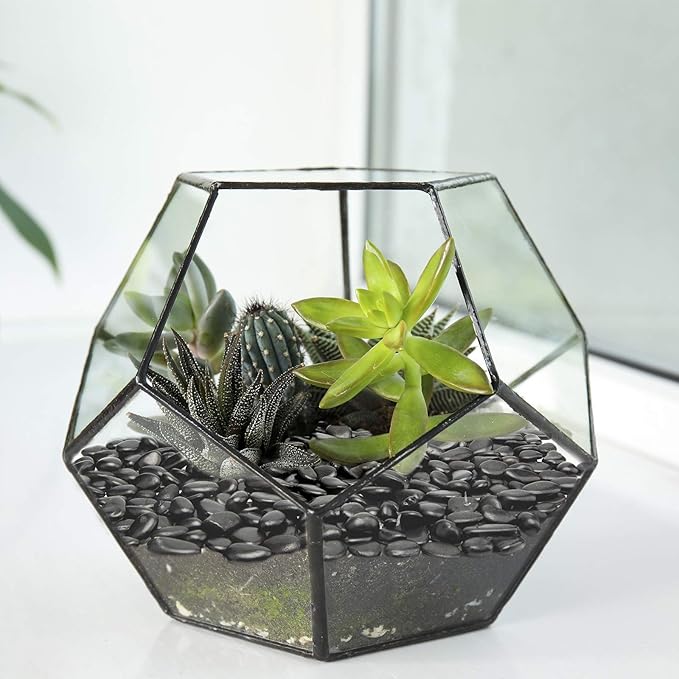 10lb Black Small Decorative Pebbles - Gravel River Rock,Natural Polished Decorative Stones 3/8" Gravel Size,Pebbles Gravel for Bamboo Plants,Succulent,Home Decor,Landscaping,Vase Fillers and More.