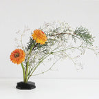 Wazakura Japanese Black Hexagon Ikebana Kenzan Flower Holder 2.6 in (68 mm), Made in Japan Floral Arranging Pin Frog Tool