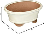 Brussel's 6" Oval Bonsai Glazed Ceramic Pot (Small, New Cream)
