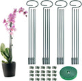 4 Set Metal Plant Sticks Support Tall 48 Inch Adjustable Plants Stem Support Rod Amaryllis Holder Stake Garden Flower Rings with 20PCS Clips 16.5' Plant Ties for Outdoor Indoor Plants