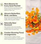 Eden Brothers Deer Resistant Wildflower Mixed Seeds for Planting, 50 lb, 24,000,000+ Seeds with Foxglove, Forget Me Not | Attracts Pollinators, Plant in Spring or Fall, Zones 3, 4, 5, 6, 7, 8, 9, 10