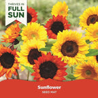 BloomingBulb Seed Mat - Easy to Plant and Grow Garden Seeds - Creates Fragrant, Vibrant Flower Garden (Sunflower Garden) (Pack of 2)