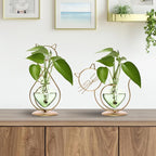 Plant Terrarium Plants Propagation Station Cat Lover Gifts for Women Home Office Decor Cat Desk Accessories