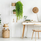 dallisten 4 Pack Fake Hanging Plants, 38" Artificial Hanging Eucalyptus Plants Greenery Vines UV Resistant Faux Trailing Plants for Indoor Outdoor Wall Shelf Porch Boho Home Patio Decor(4PCS Green)
