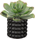 Briful Succulents Plants Artificial for Home Decor, Realistic Potted Fake Plant, Bubbled Plant Pot, Cute Succulents Faux Plant, Shelf Tables Decor, Modern Farmhouse Home Decorations