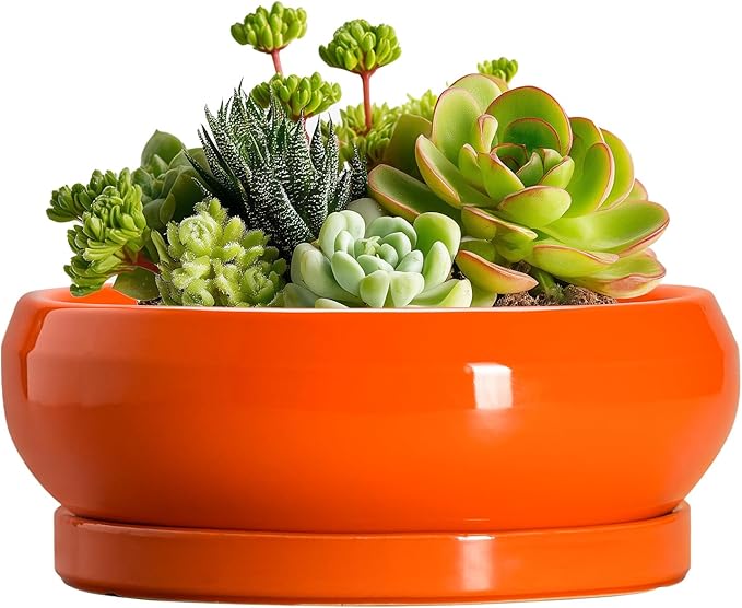 Succulent Planters 6 Inch - Small Bonsai Pots Ceramic, Succulent Pots with Drainage Hole and Saucer, Shallow Planters Indoor Outdoor, Round Cactus Pot, Office Decor, Gardening Gift, Orange