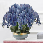 FagusHome 32 Inch Artificial Phalaenopsis Flowers 6 Pcs Artificial Orchid Flowers Stem Plants for Home Décor (Dark Blue)