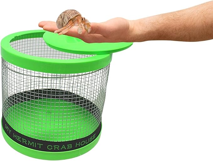 Needzo DIY Terrarium Kit, Small Hermit Crab Starter Kit with Wire Cage, Palm Tree Water Holder, Sponge, Bag of Food and Gravel, All in One Pet Supplies, Color May Vary, 4.5 Inches