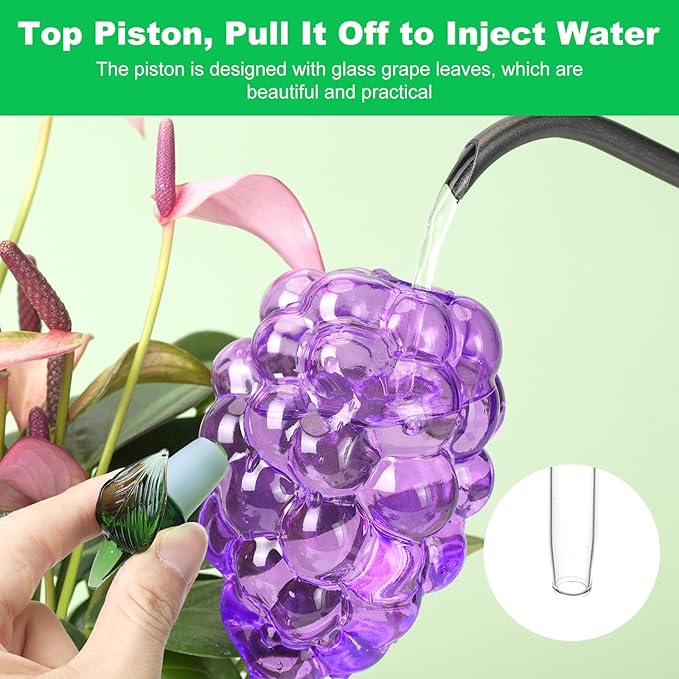 3 Packs Grape Plant Watering Globes with Terracotta Stakes, Glass Self-Watering Planter Insert, Automatic Watering Bulbs for Indoor & Outdoor Plants, Refillable via Top Opening