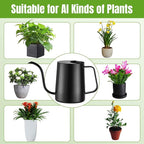 34 oz / 1000 ml Watering Can Indoor Plants, Stainless Steel Plant Watering Can with Long Spout (Black)