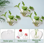 Wall Hanging Planter Propagation Station for Indoor Plants Glass Vase Air Plant Holder Gift for Women Girlfriend Plant Lover