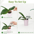 3pcs Plant Self Watering Globes, Plastic Water Bulbs Top Fill, 12.3 oz Plant Watering Devices System Slow Release Terracotta, Water Spikes Stakes for Indoor (Clear-3pack)