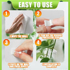 Plant Climbing Wall Fixture Clips, 100Pcs Plant Fixer Self-Adhesive Hooks for Invisible Wall Vines Plant Fixation Plant Vine Traction Garden Vegetable Plant Binding (B-100 Pcs)