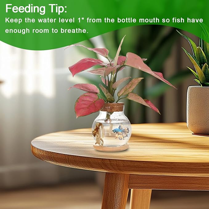 Plant Propagation Station,Hydroponic Glass Container Vase Jars, with Wooden Saucer for Desks, Houses, Garden Decorations, Home Kitchen Decorations and Gifts for Plant Lovers (2)