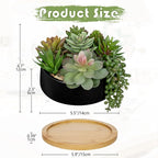 Artificial Succulent Plants in Pot 5.5 Inch Fake Succulents Arrangement Potted Plant in Black Ceramic Planter Bowl with Wood Saucer for Home Office Desk Shelf Living Room Bedroom Bathroom Decor