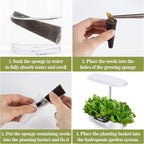 MAQIHAN 100 Grow Sponges for Hydroponics - Seed Pods for Garden Seed Starter Pods Growing System Plant for Seed Plugs Garden Cube Sponges Replacement