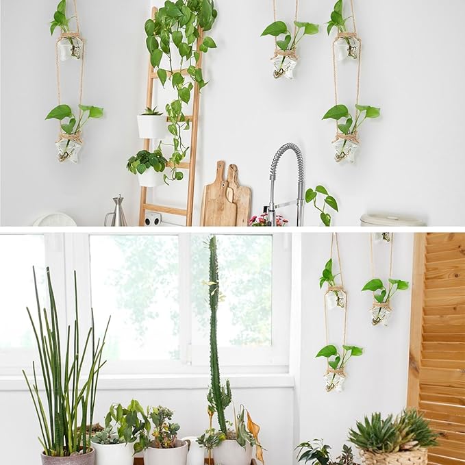 XXXFLOWER Wall Hanging Propagation Station，2 Tiers Star Shaped Glass Flower Vase for Hydroponic Planter Terrarium for Plant Cutting Home Office Living Room Garden Decor